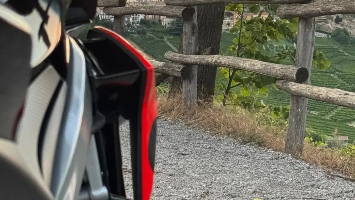 Aprilia Tuono 660 Factory (2022 - 24)  (5)