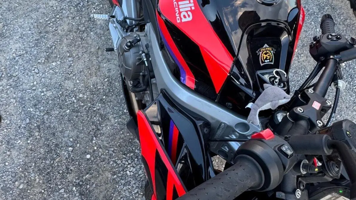 Aprilia Tuono 660 Factory (2022 - 24)  (6)
