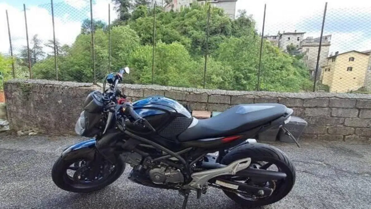 Suzuki Gladius 650 SFV (2009 - 15)  (4)