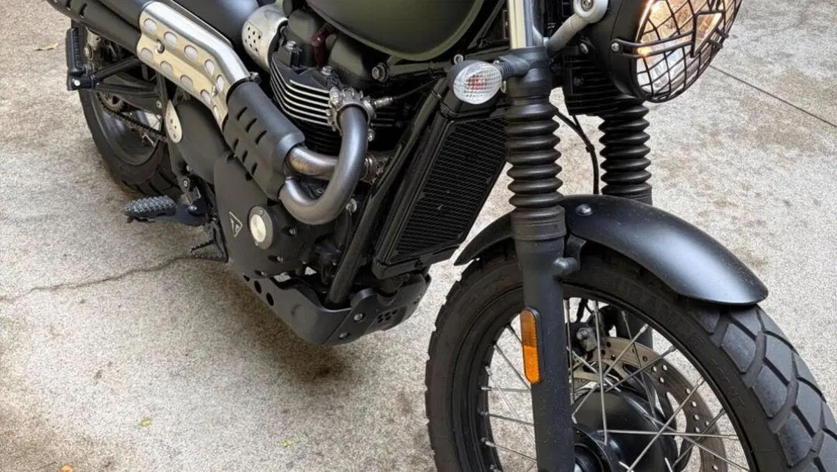 Triumph Street Scrambler 900 (2017 - 18)  (7)