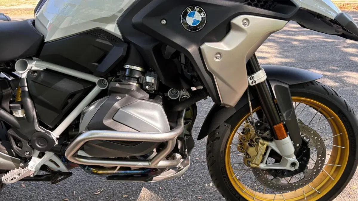 Bmw R 1250 GS (2019 - 20)  (10)