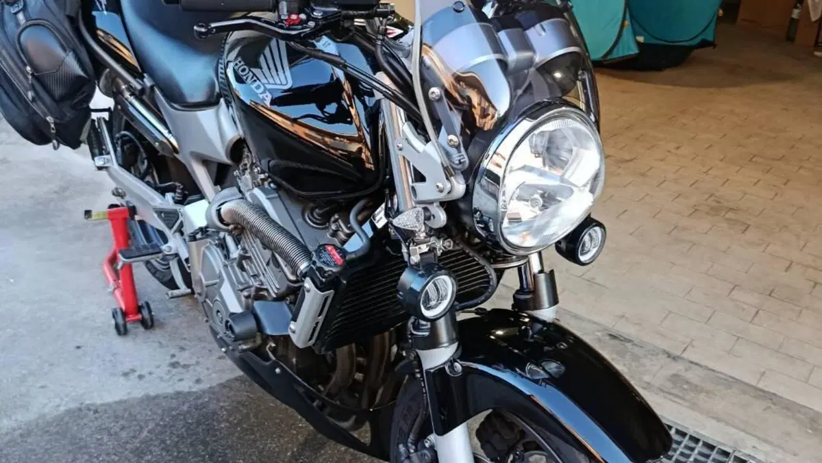 Honda Hornet 600 (2003 - 04)  (11)