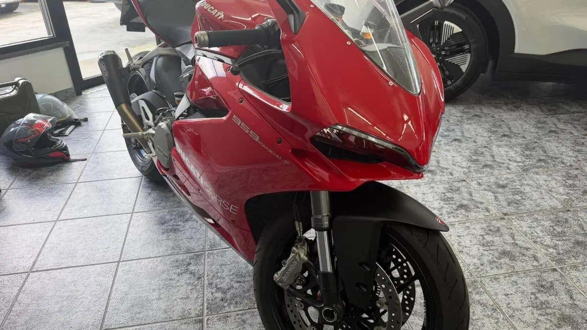 Ducati 959 Panigale (2016 - 19)  (4)