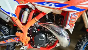 Betamotor RX 300 2T (2024 - 25)  (2)