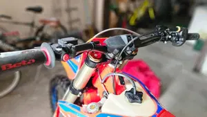 Betamotor RX 300 2T (2024 - 25)  (3)