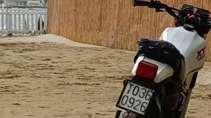 Yamaha   (5)