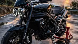 Triumph Speed Triple 1050 (2005 - 11) usata