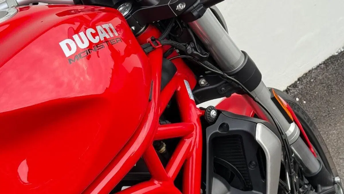 Ducati Monster 1200 (2017 - 21)  (8)