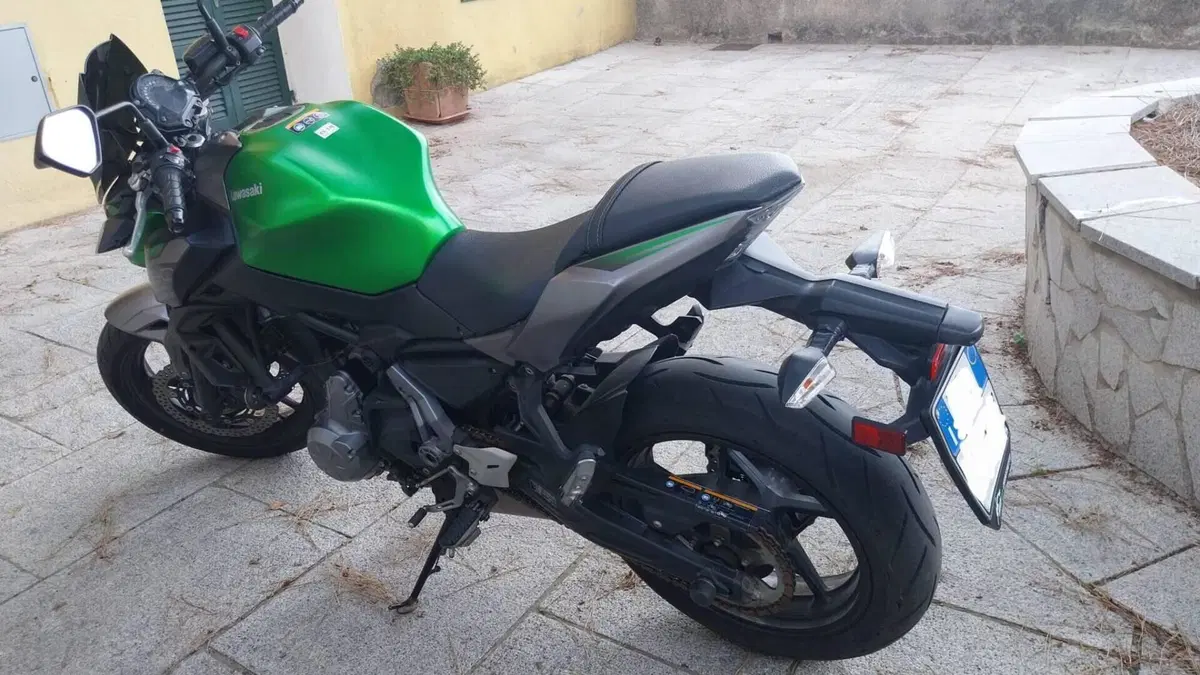 Kawasaki Z 650 (2017 - 19)  (2)
