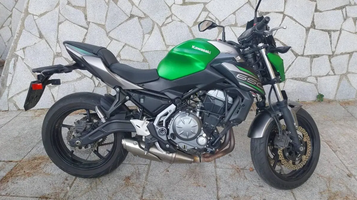 Kawasaki Z 650 (2017 - 19)  (4)