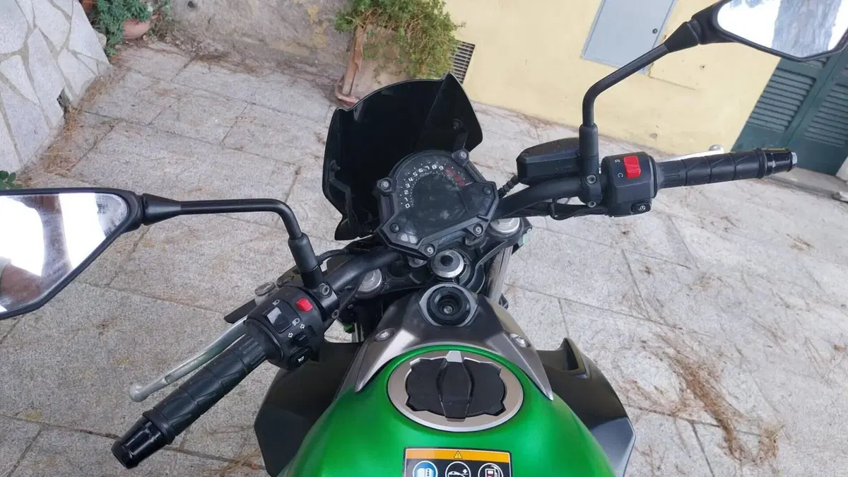 Kawasaki Z 650 (2017 - 19)  (6)