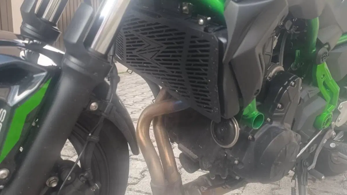 Kawasaki Z 650 (2025 - 27)  (9)