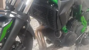 Kawasaki Z 650 (2025 - 27)  (9)