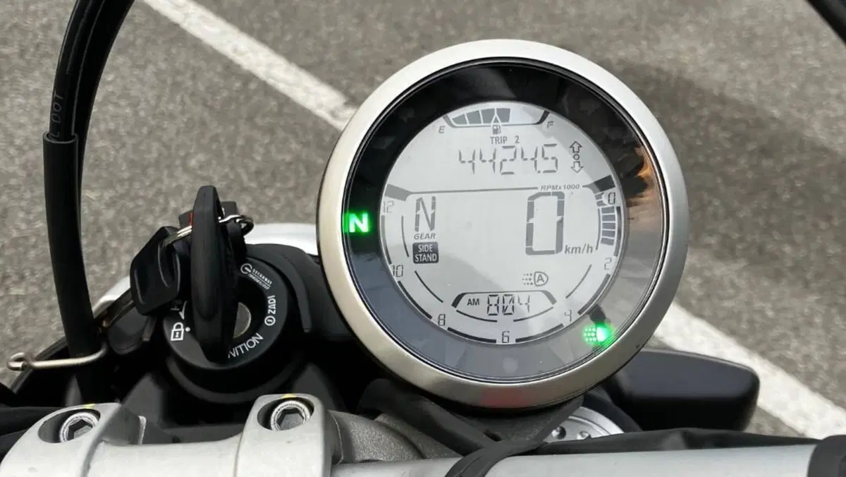 Ducati Scrambler 800 Icon (2021 - 22)  (6)