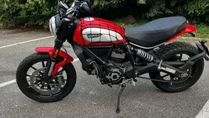 Ducati Scrambler 800 Icon (2021 - 22)  (8)