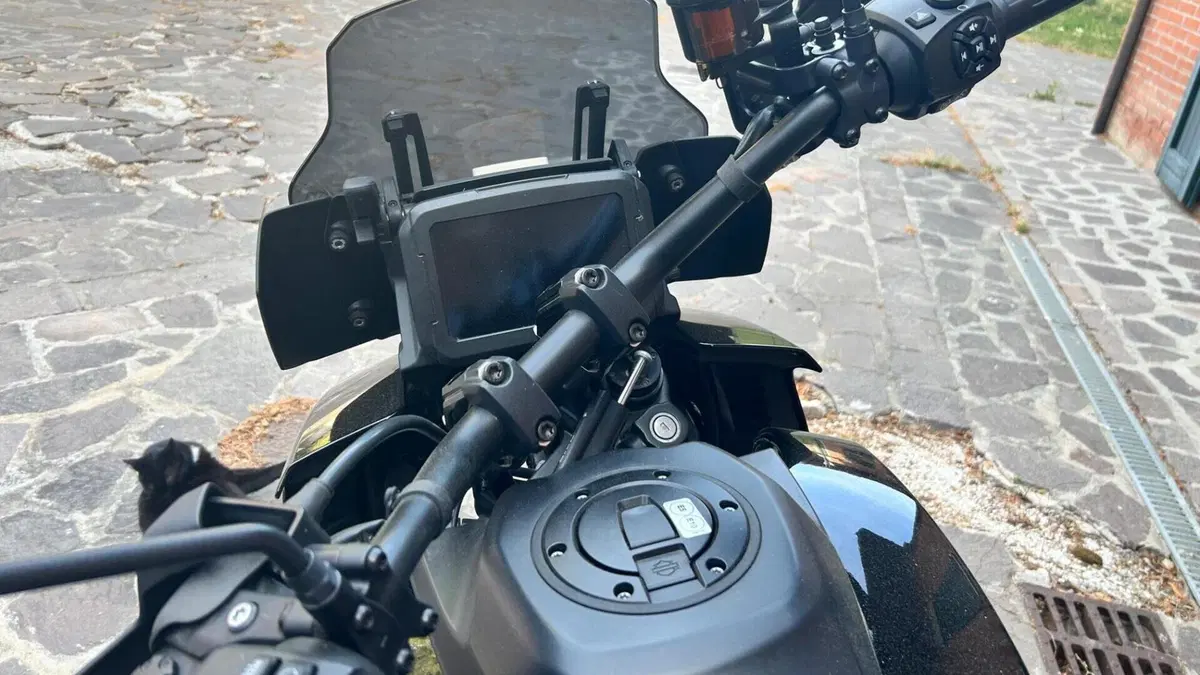 Harley-Davidson Pan America 1250 Special (2020 - 25)  (2)