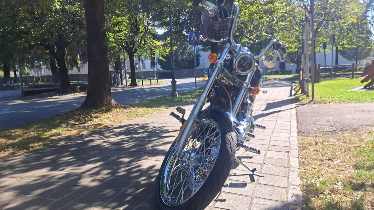 Harley-Davidson 1584 Custom (2008 - 09) - FXSTC 