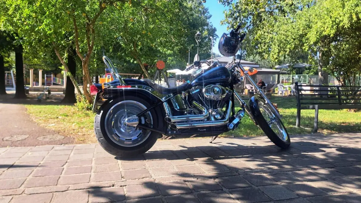 Harley-Davidson 1584 Custom (2008 - 09) - FXSTC  (2)