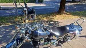 Harley-Davidson 1584 Custom (2008 - 09) - FXSTC  (3)