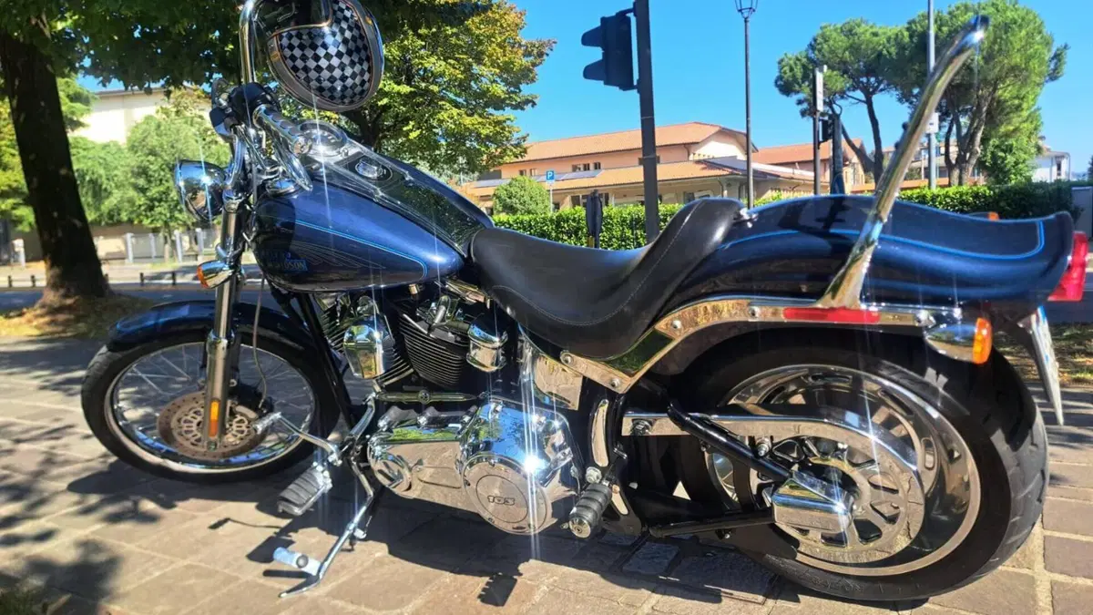 Harley-Davidson 1584 Custom (2008 - 09) - FXSTC  (4)