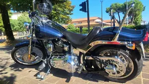 Harley-Davidson 1584 Custom (2008 - 09) - FXSTC  (4)