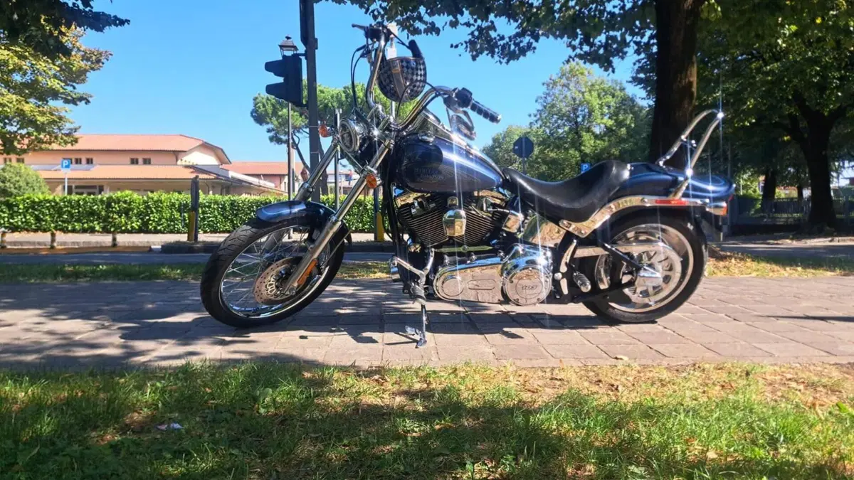 Harley-Davidson 1584 Custom (2008 - 09) - FXSTC  (5)