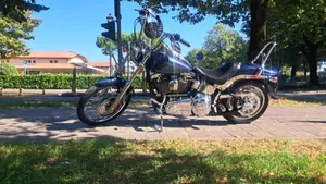 Harley-Davidson 1584 Custom (2008 - 09) - FXSTC  (5)