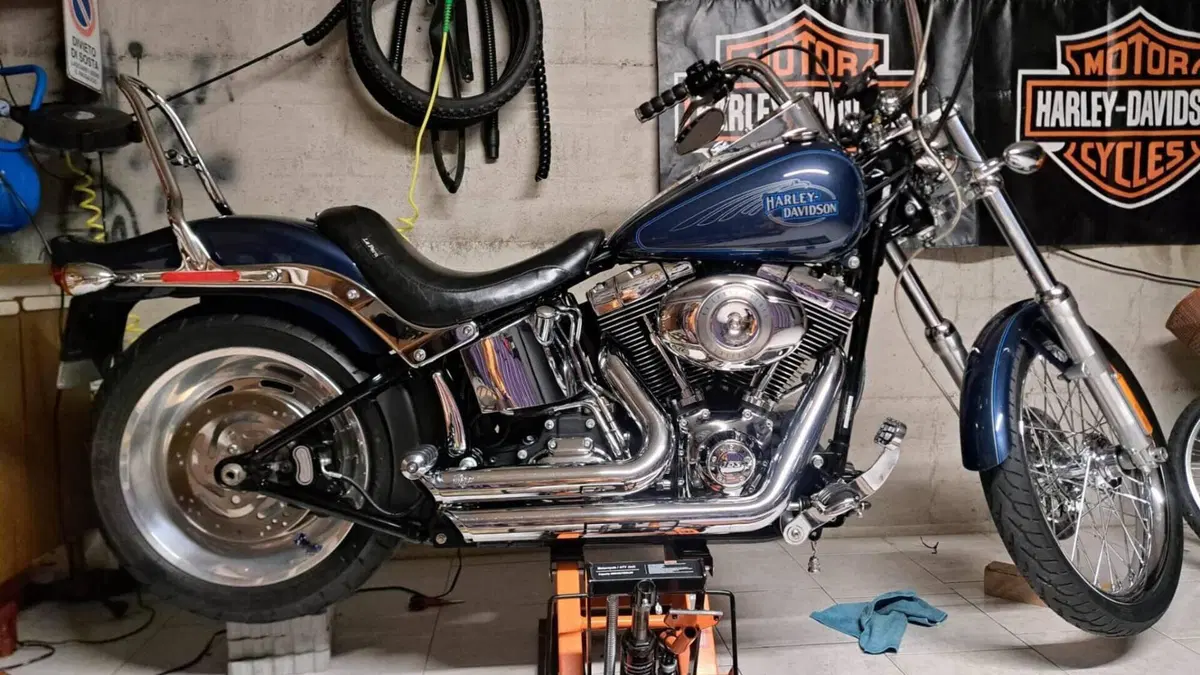 Harley-Davidson 1584 Custom (2008 - 09) - FXSTC  (6)