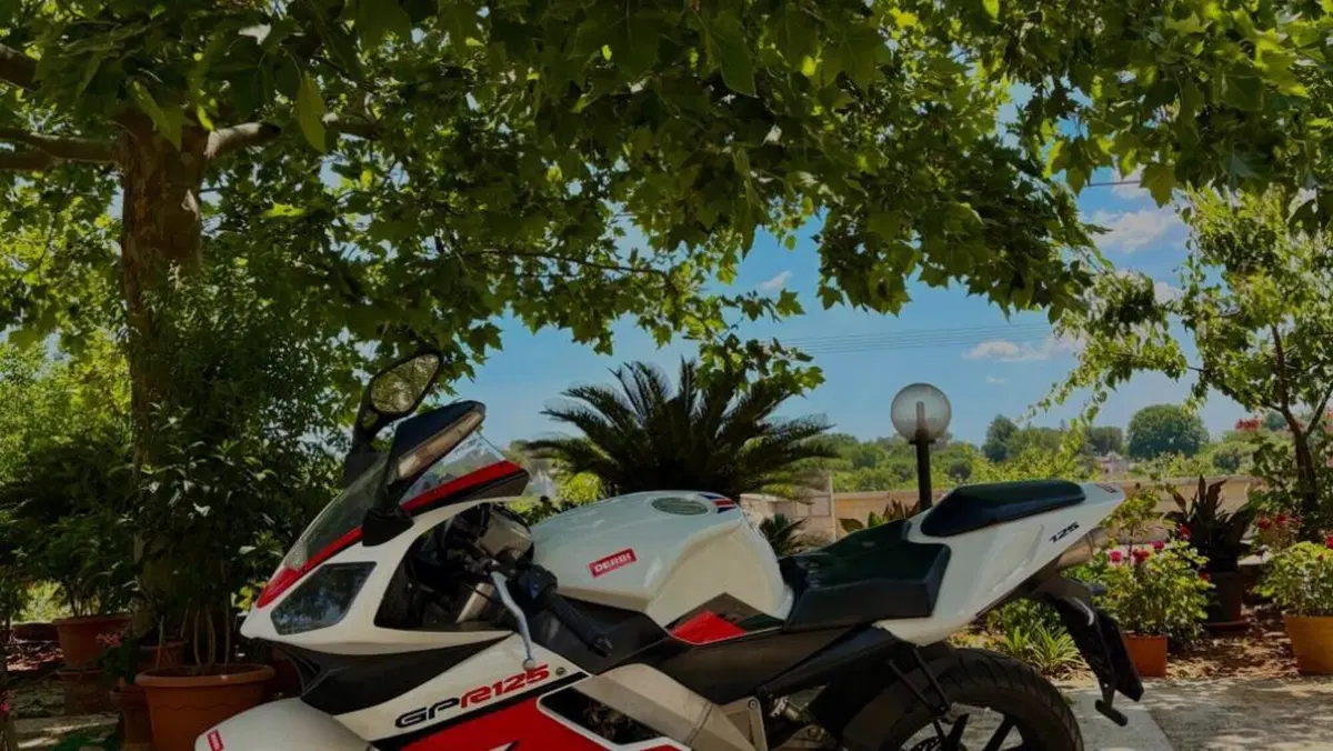 Derbi GPR 125 Racing (2004 - 12)  (6)