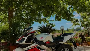 Derbi GPR 125 Racing (2004 - 12)  (6)