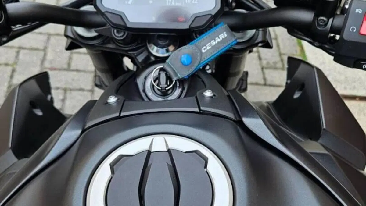 Kawasaki Z 900 A2 (2020)  (5)