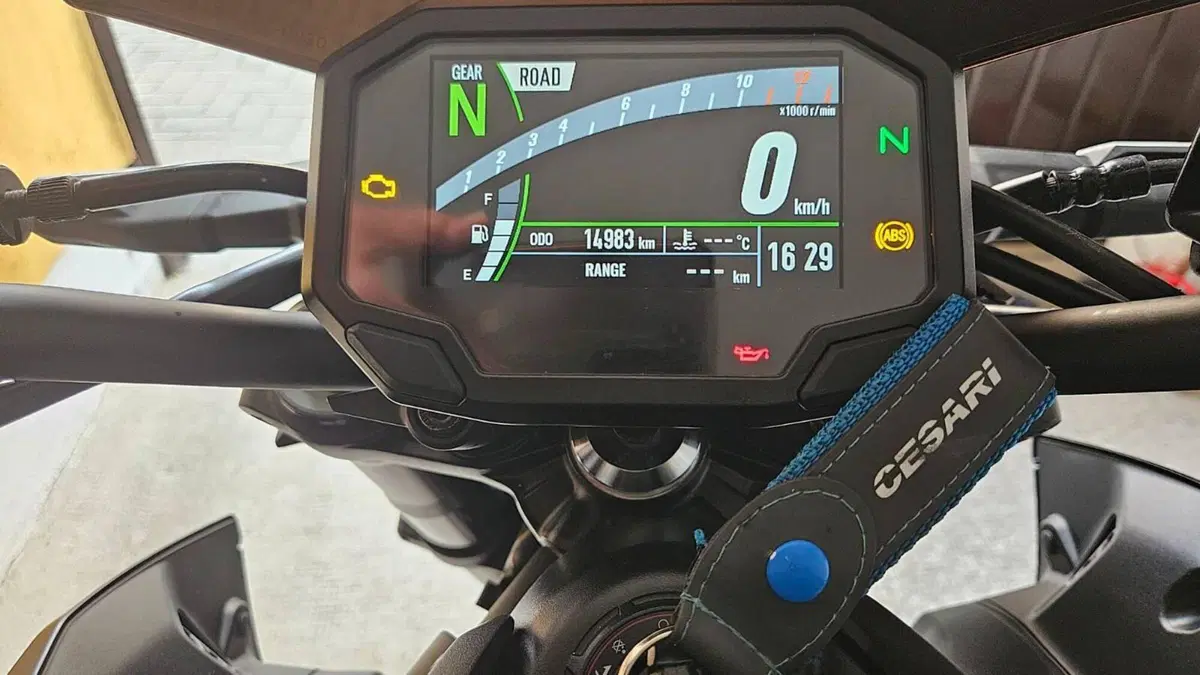 Kawasaki Z 900 A2 (2020)  (6)