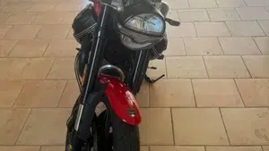 Moto Guzzi V7 Sport (2025 - 26)  (3)