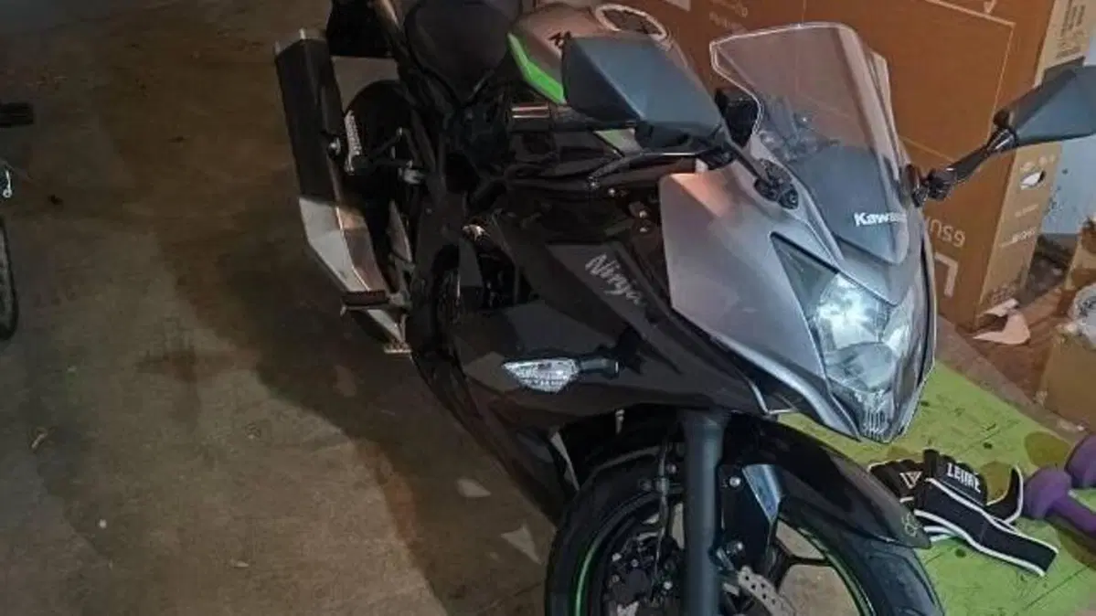 Kawasaki Ninja 125 (2021 - 24) 