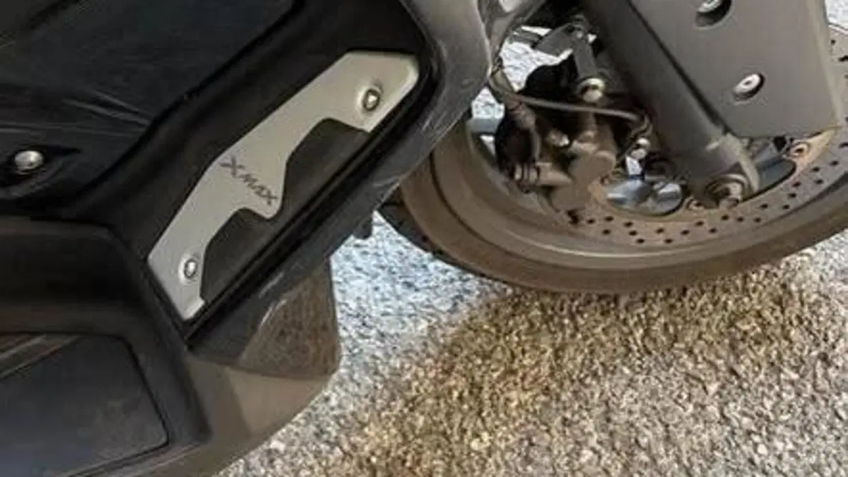 Yamaha X-Max 300 Tech Max (2020)  (6)