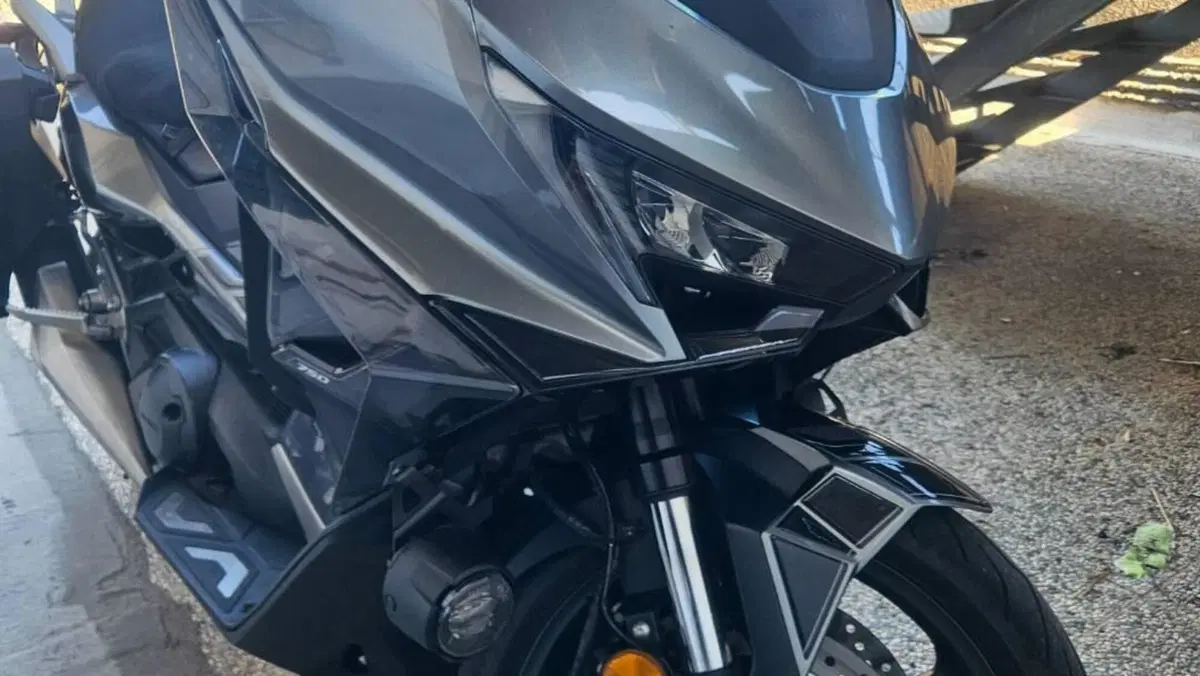 Honda Forza 750 (2025 - 26) 