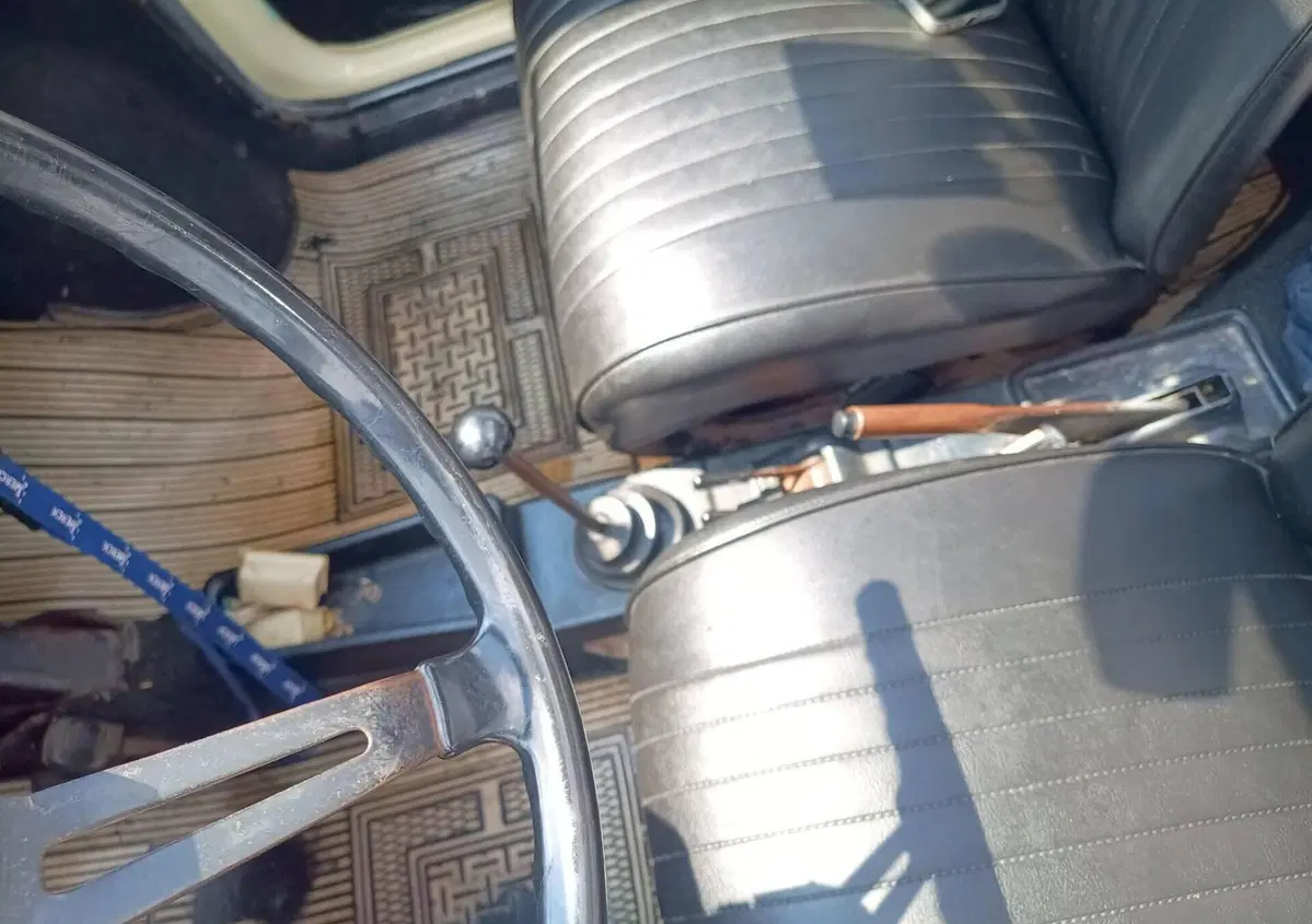 Fiat 500  (2)
