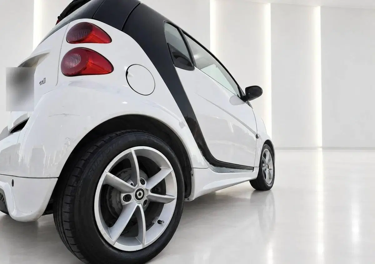 smart Fortwo 800 33 kW coupé pure cdi (6)