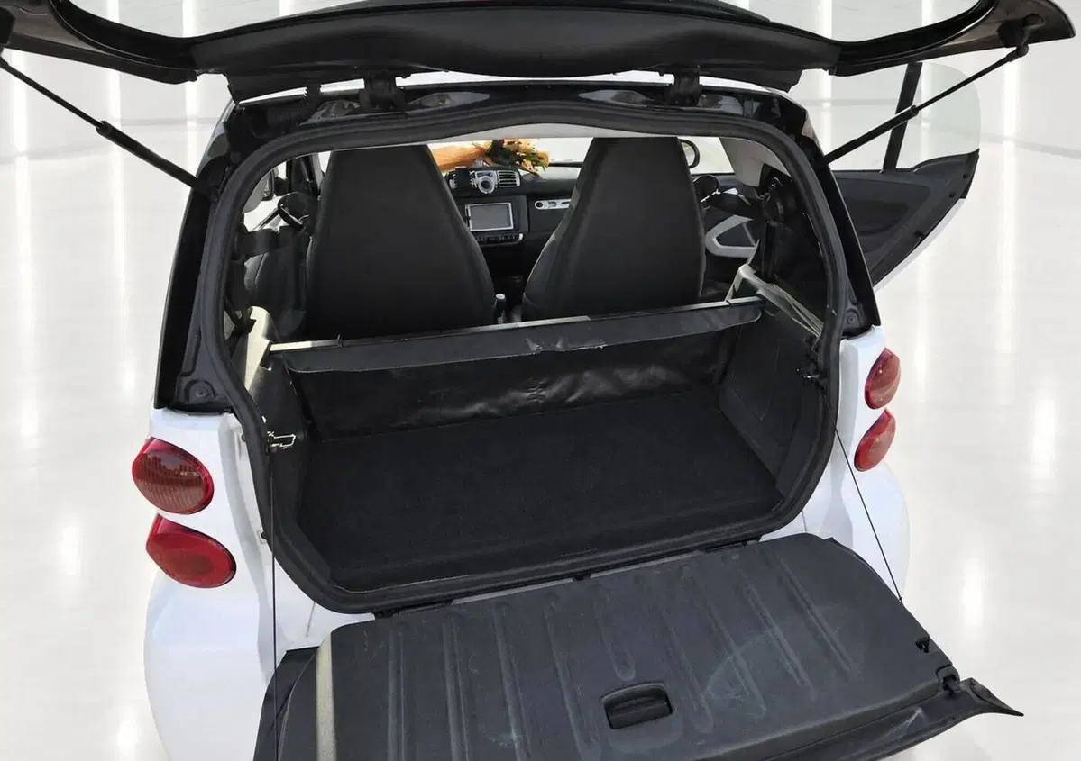 smart Fortwo 800 33 kW coupé pure cdi (13)