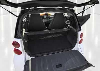 smart Fortwo 800 33 kW coupé pure cdi (13)