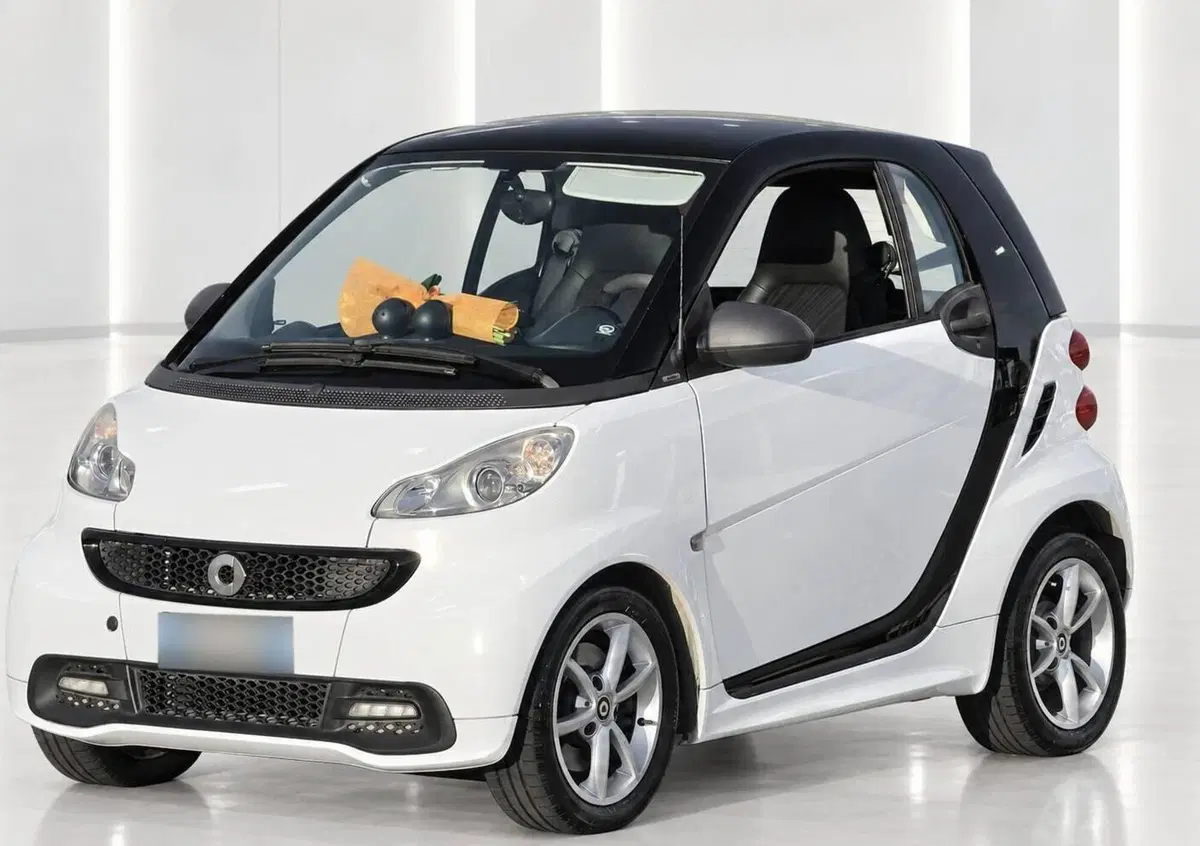 smart Fortwo 800 33 kW coupé pure cdi (16)