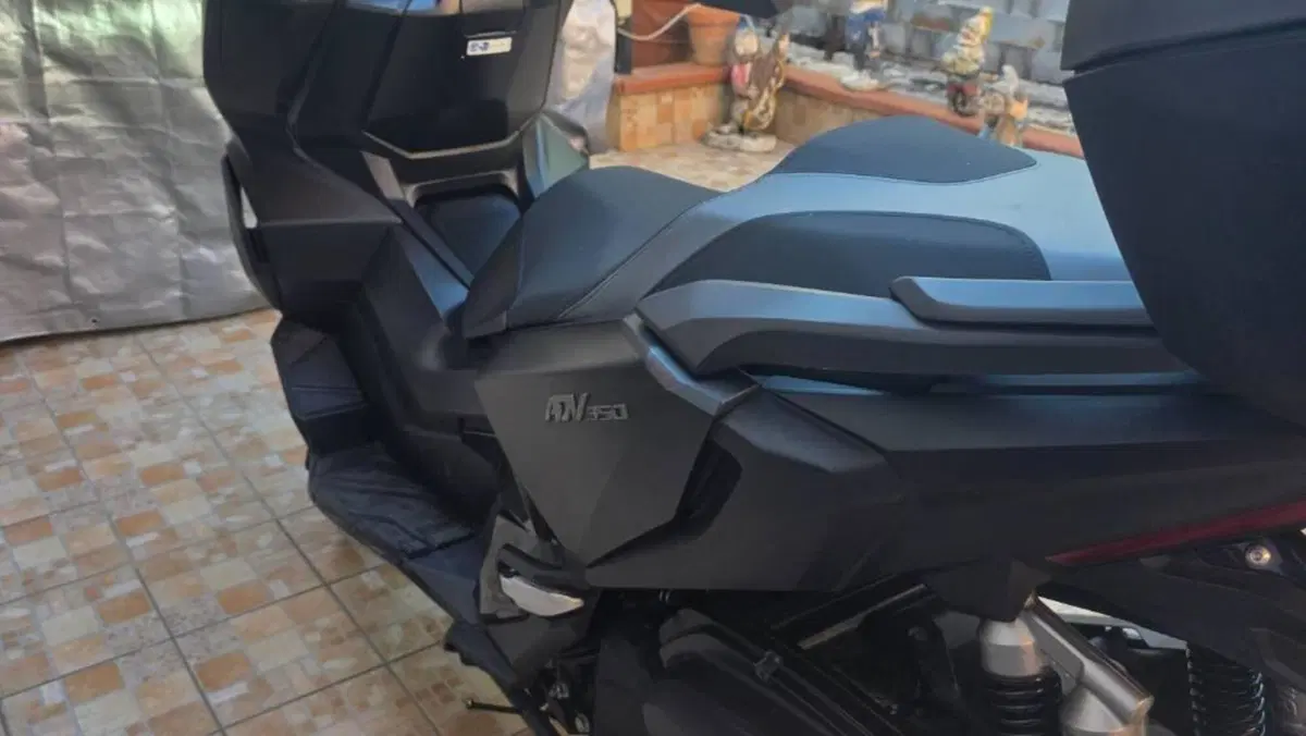 Honda ADV 350 (2022 - 24)  (6)