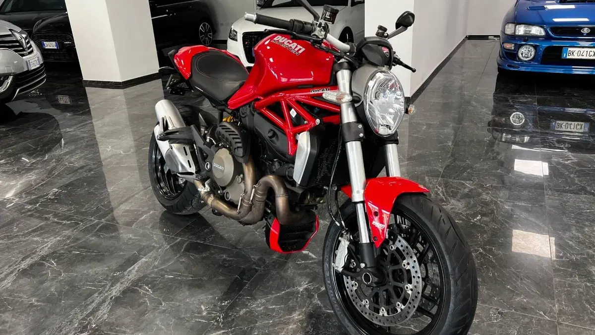 Ducati Monster 1200 (2014 - 16)  (7)