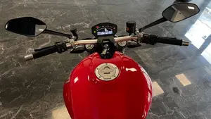 Ducati Monster 1200 (2014 - 16)  (9)