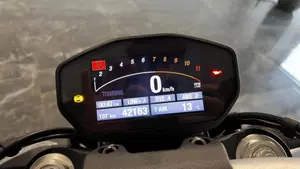 Ducati Monster 1200 (2014 - 16)  (10)