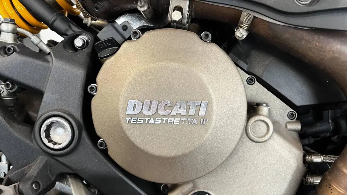 Ducati Monster 1200 (2014 - 16)  (13)