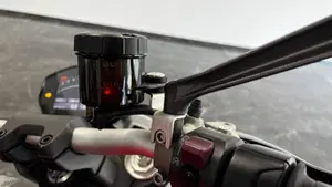 Ducati Monster 1200 (2014 - 16)  (17)