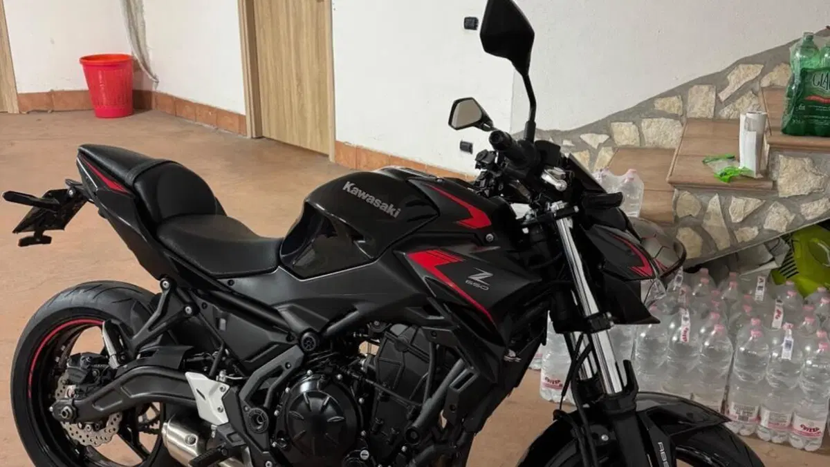 Kawasaki Z 650 Sport (2021 - 24)  (2)