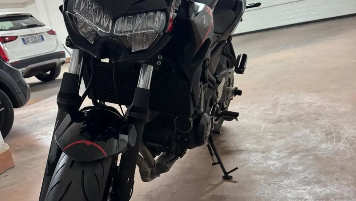 Kawasaki Z 650 Sport (2021 - 24)  (5)