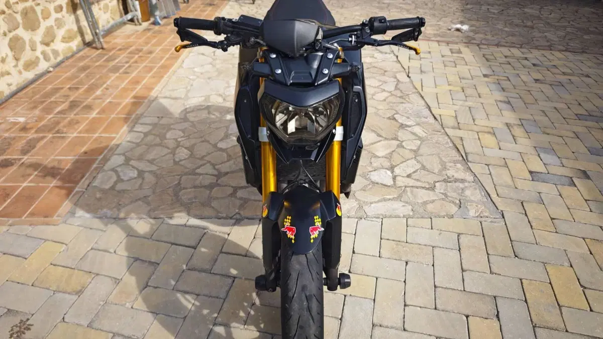 Yamaha MT-09 ABS (2013 - 15)  (2)